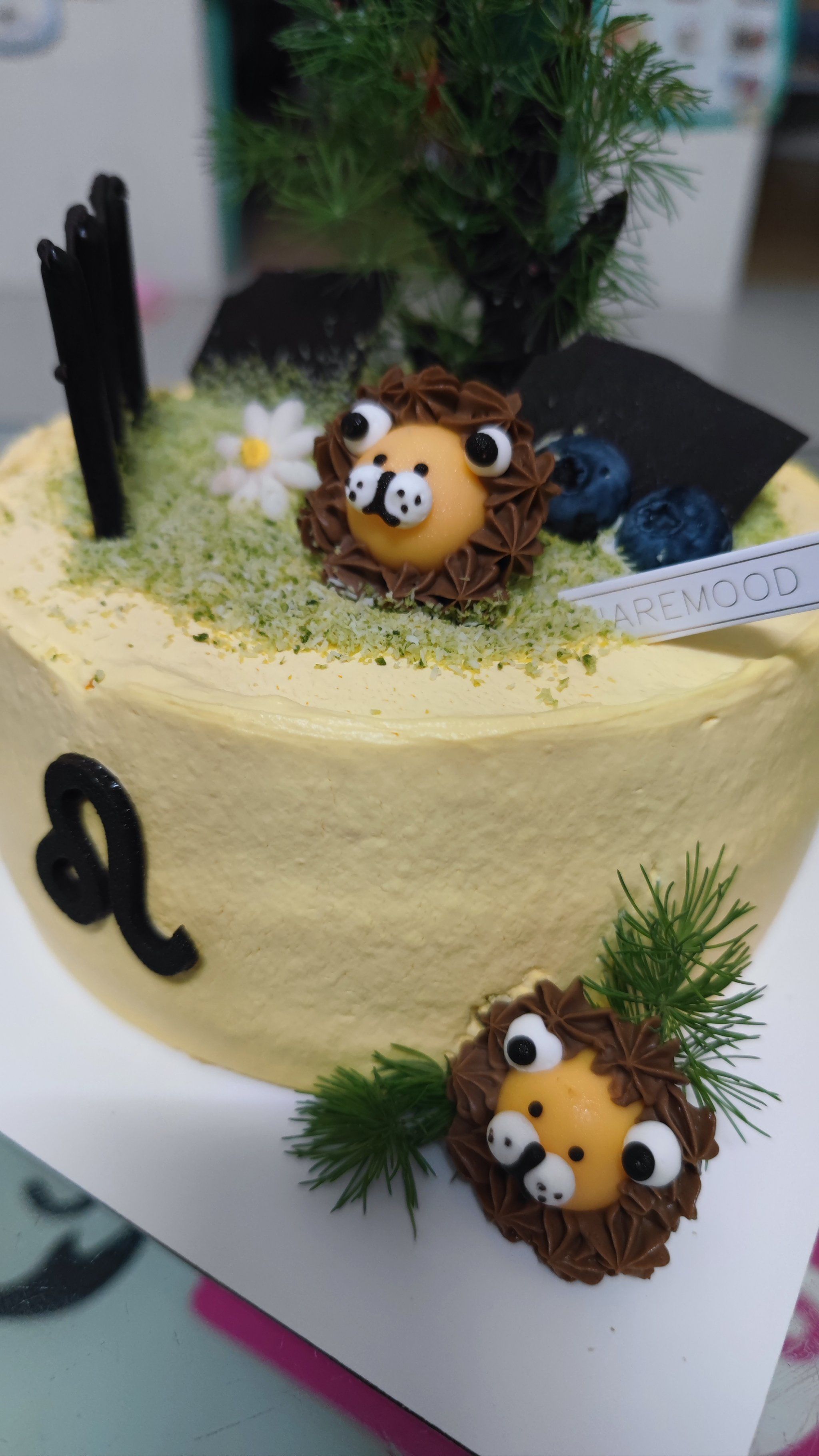 狮子星座生日蛋糕的甜蜜庆典