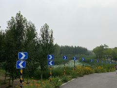 -东郊湿地公园