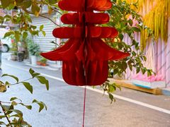 -溪岸路花鸟市场