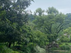 -杭州雅谷泉山庄酒店-餐厅