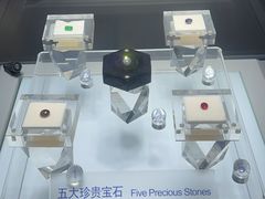 -安徽省地质博物馆