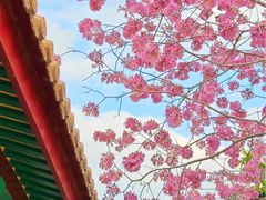 -天竺岩寺