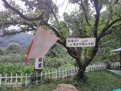 -西安祥峪森林公园