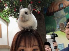 -藦茜花园宠物主题亲子互动体验馆(国顺东路店)