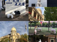 -大象厨房(重庆道店)