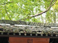-法云安缦酒店