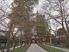 -西安碑林博物馆