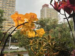 -懒人盐府人家(航天桥店)