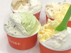 斑斓椰子-Dal Cuore 达可芮冰淇淋(陕西北路店)