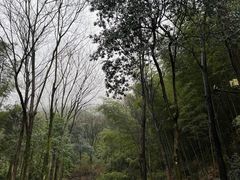 -仙霞关景区