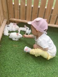 -萌宠亲子动物乐园(槐房万达店)