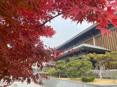 -临沂市博物馆