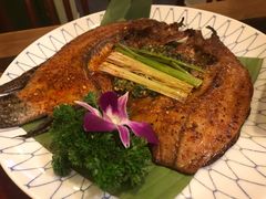 -紫滇源云南生态菜(丹凤街店)