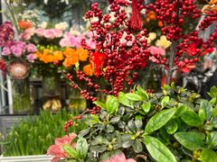 -FEI FEI FLOWER鲜花店·气球派对·宝宝宴布置(虹口德必运动Loft店)