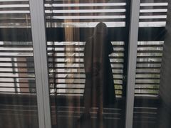 -苏州西交利物浦大学国际会议中心