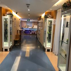 -深圳美莱医疗美容医院