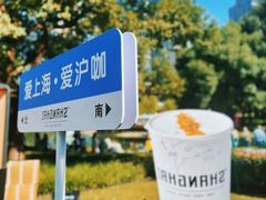 -陆家嘴中心绿地