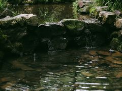 -杭州半山国家森林公园