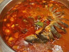 -芦苇荡·酸汤鱼(回龙观店)