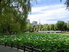 -长春市南湖公园