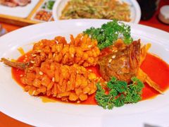 松鼠鳜鱼-秦三驴(云飞街店)