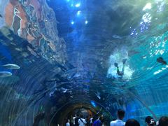 -华夏文旅海洋公园