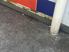 -胖子煎饼店(钦州南路店)