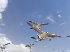 -东台吉乃尔湖