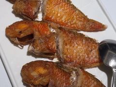 -金成潮菜博物馆(海珠湿地店)