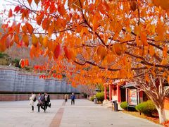 -石岛赤山风景区