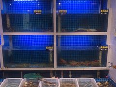 水产区-潮人姐妹轩(海宁路店)