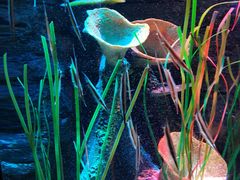 -沈阳海洋探索中心