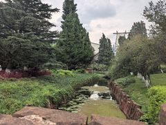 -云南民族村