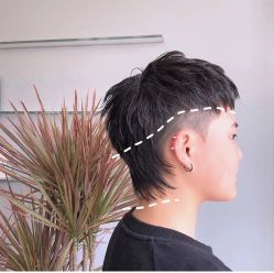 点击看大图 -IP SALON
