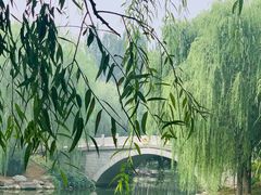 -大兴滨河森林公园