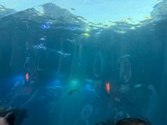 -海棠湾洲际-涛·海底餐厅·美人鱼·自助餐·海底隧道