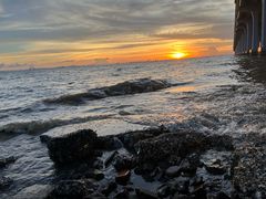 -宝安西湾红树林湿地公园