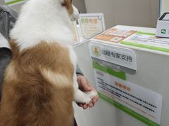 -瑞鹏宠物医院·超声·骨科·奇麟分院(蜀都万达店)