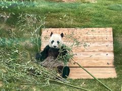 -无锡动物园·太湖欢乐园