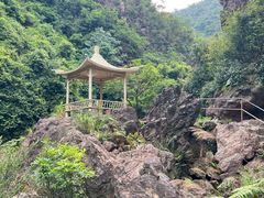 -南海湾森林生态园
