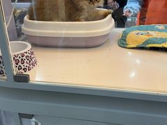 -万达茂商场(南京仙林店)