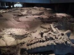 -自贡恐龙博物馆