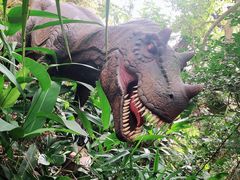 -海南热带野生动植物园