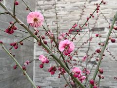 -湘子庙