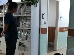 -宠福鑫动物医院·动物疾病诊疗中心(天通苑店)