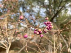 -回龙观体育文化公园