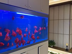 -宫七SPA·高端Massage(浦东大道店)