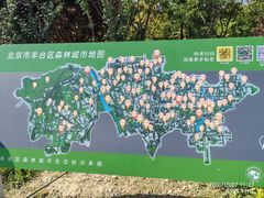 -绿堤公园