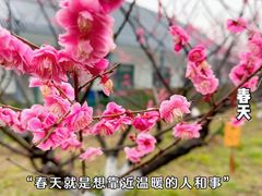 -大宁公园