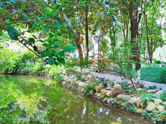 -成都市活水公园